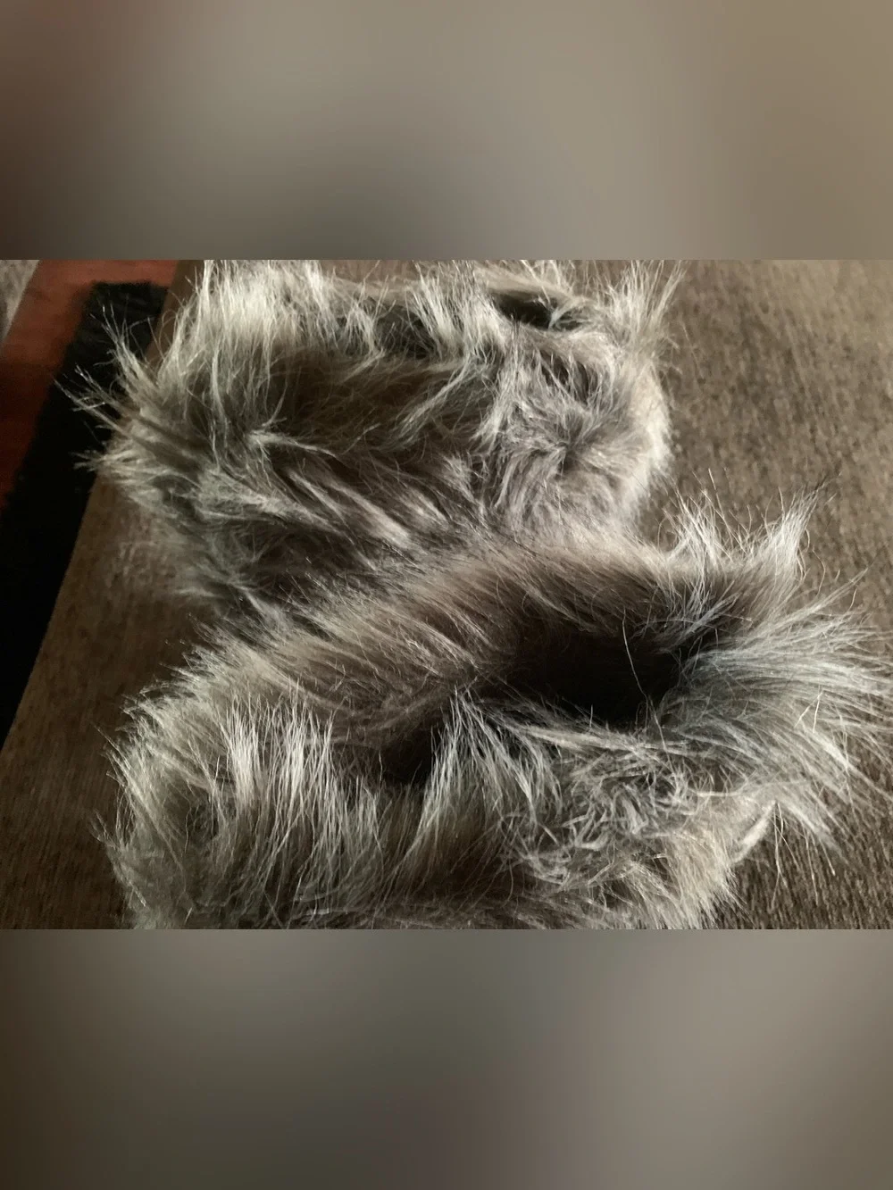 N/A plush gray
